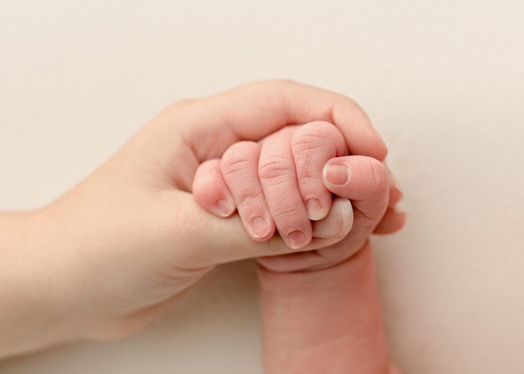 Close up image of newborn baby hand, holding big sisters hand showing skin-to-skin contact.
